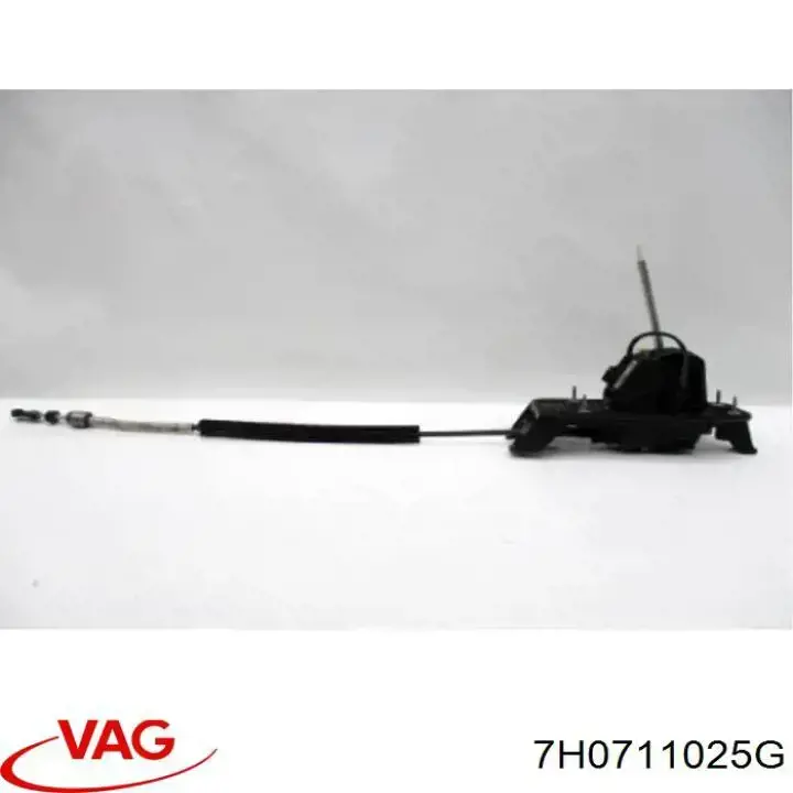  VAG 7H0711025G