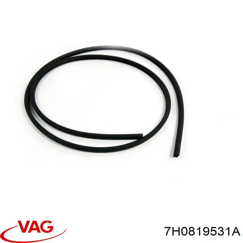  VAG 7H0819531A