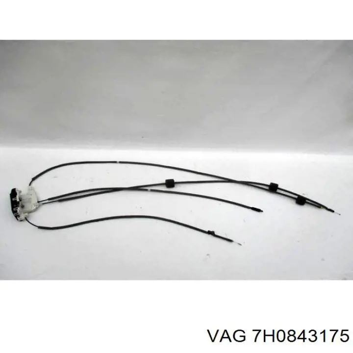 7H0843175 VAG 