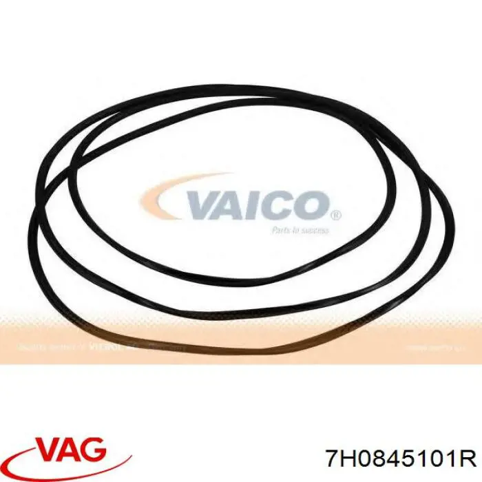 Автоскло VAG 7H0845101R ціна, від 126.69 USD