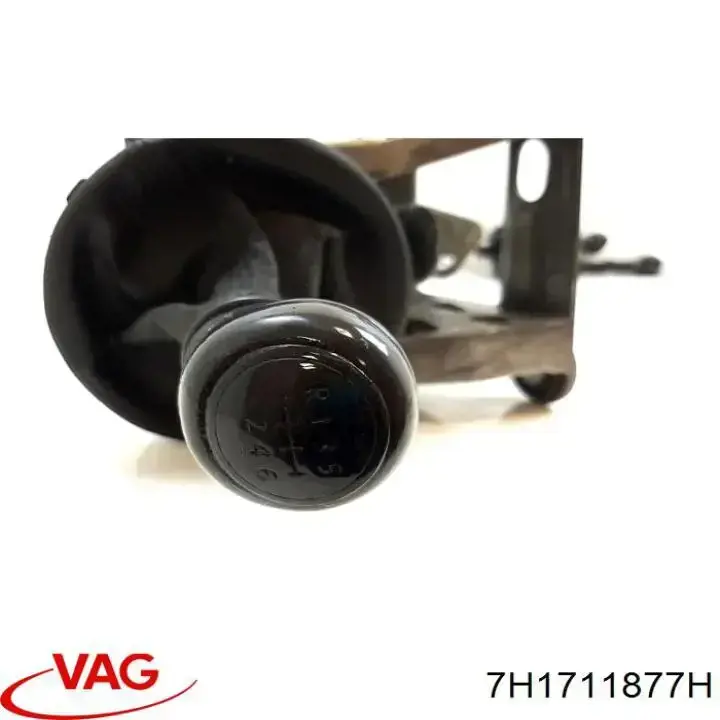 7H1711877H VAG 