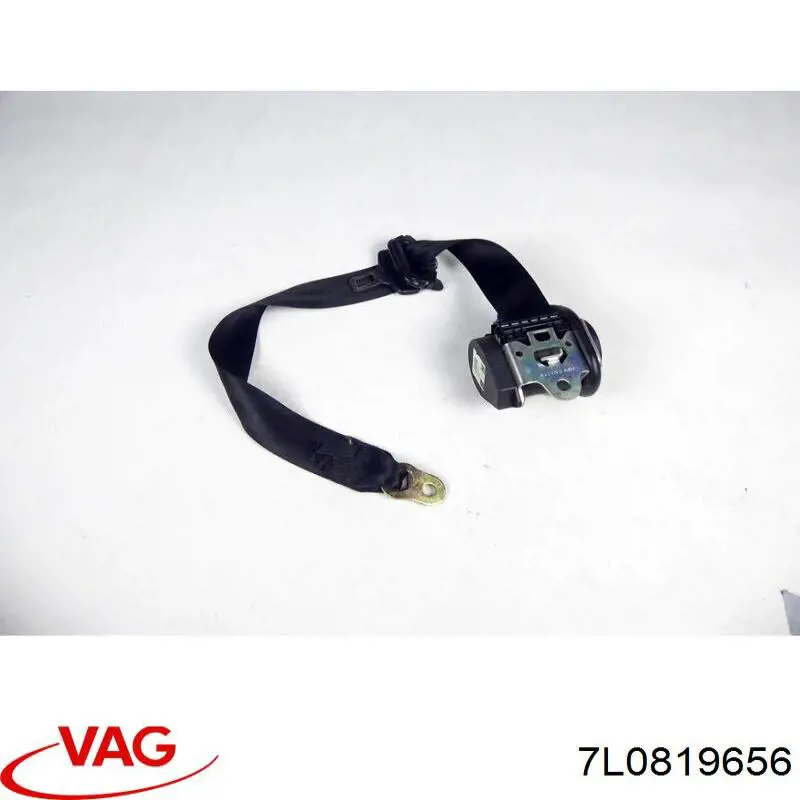  VAG 7L0819656