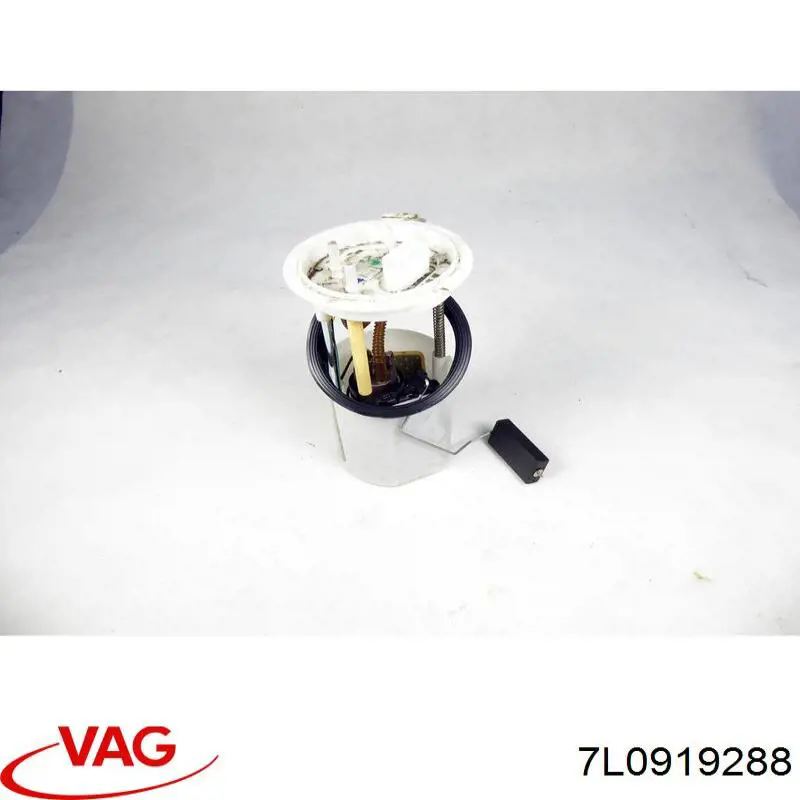  7L0919288 VAG