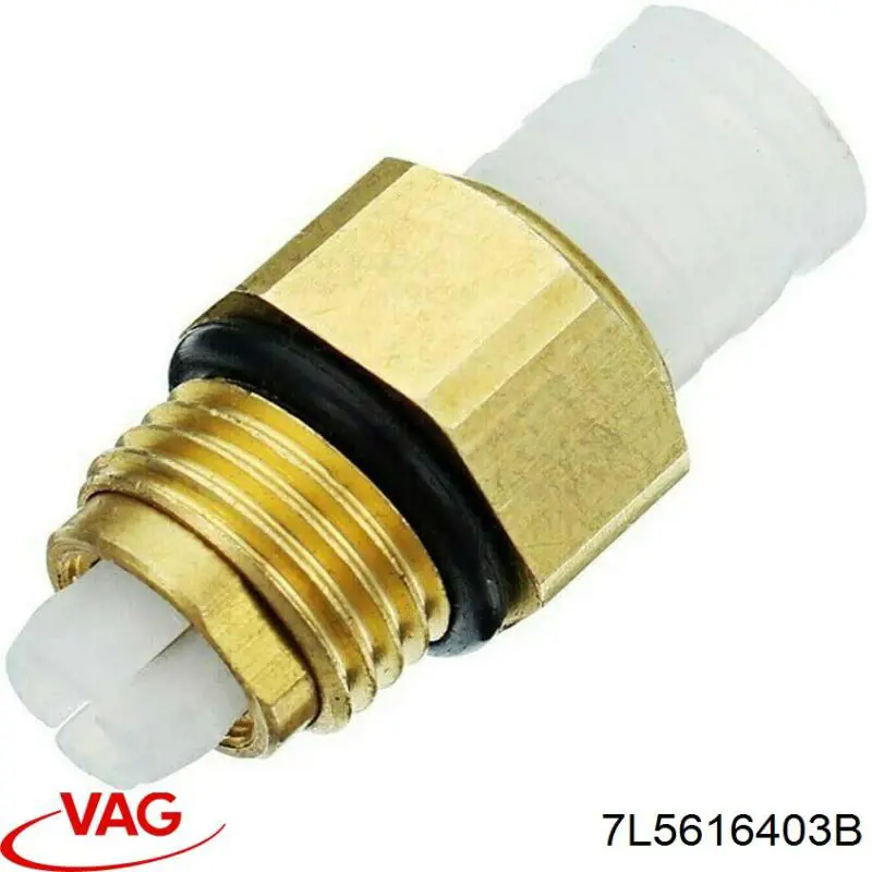 Пневмоподушка/Пневморессора моста переднього VAG 7L5616403B ціна, від 192.98 USD
