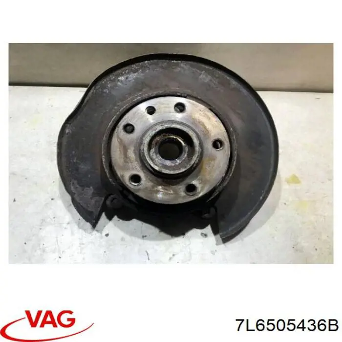 Цапфа - поворотний кулак задній, правий VAG 7L6505436B ціна, від 22.57 USD
