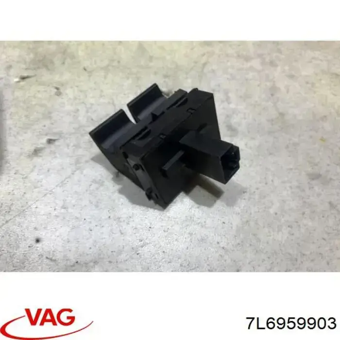 7L6959903 VAG 