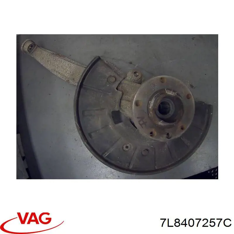 Купити 7L8407257C VAG Цапфа поворотного кулака