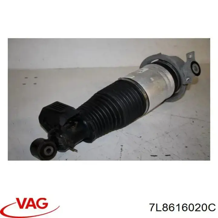 Амортизатор задній, правий VAG 7L8616020C ціна, від 76.19 USD