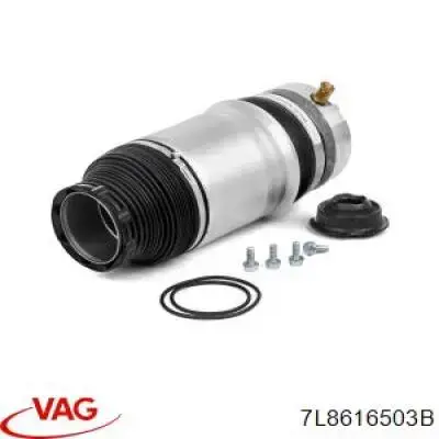 Пневморессора задня VAG 7L8616503B ціна, від 231.38 USD