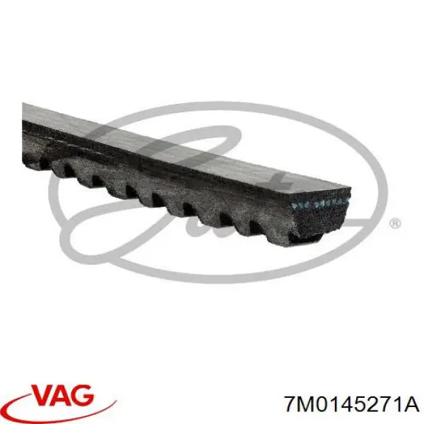 Клиновий ремінь VAG 7M0145271A ціна, від 4.53 USD