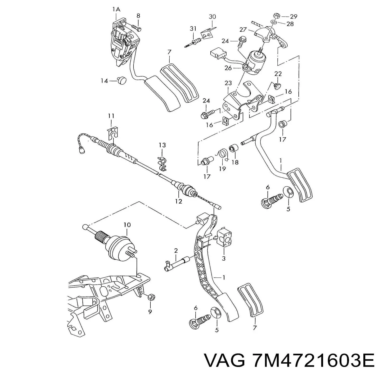 Підаль газу VAG 7M2721603A ціна, від 31.67 USD