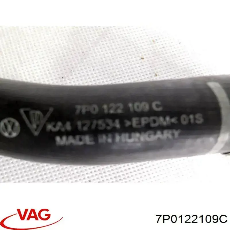7P0122109C VAG 