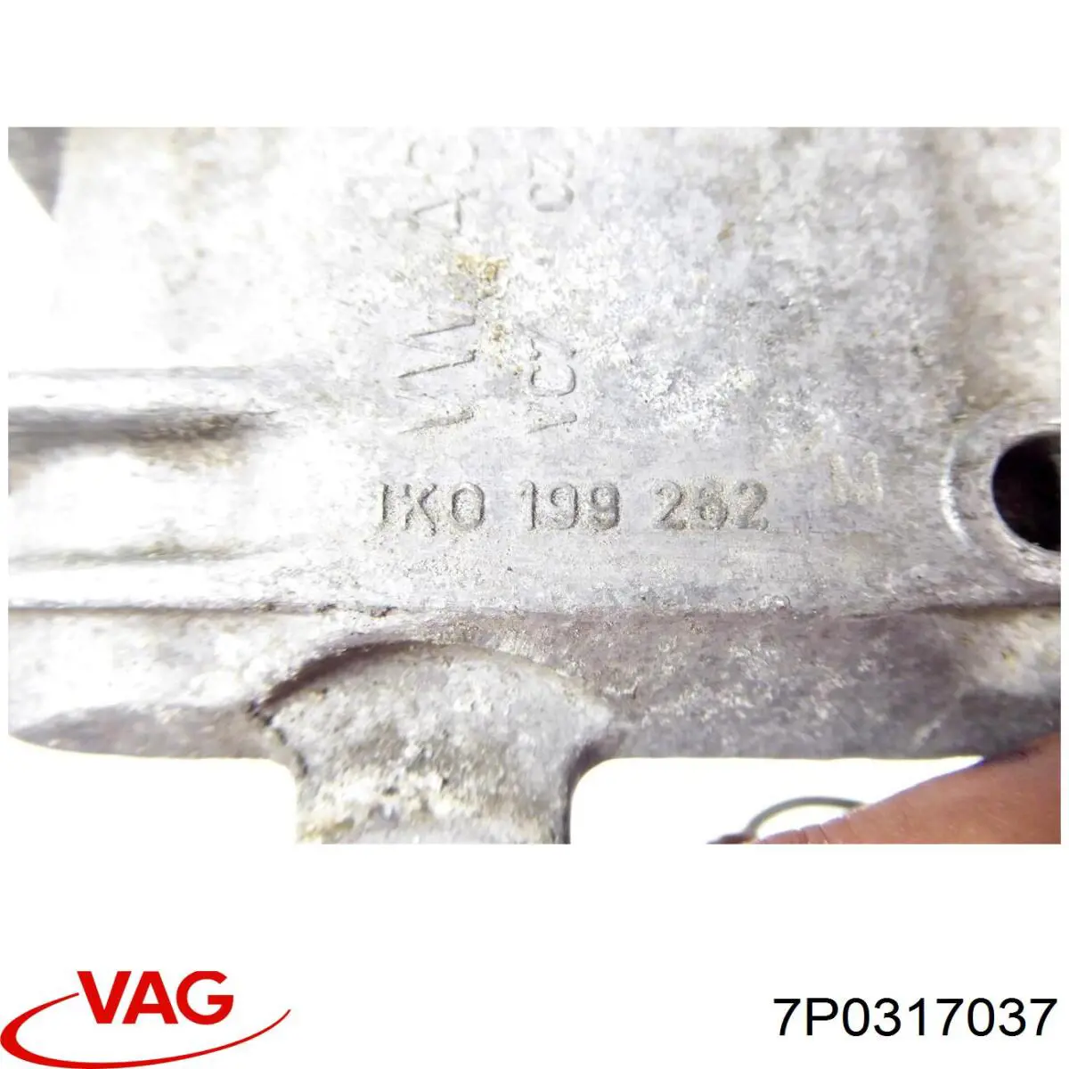 7P0317037 VAG Радіатор охолодження, АКПП