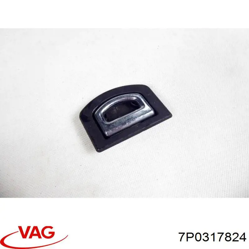  7P0317824 VAG