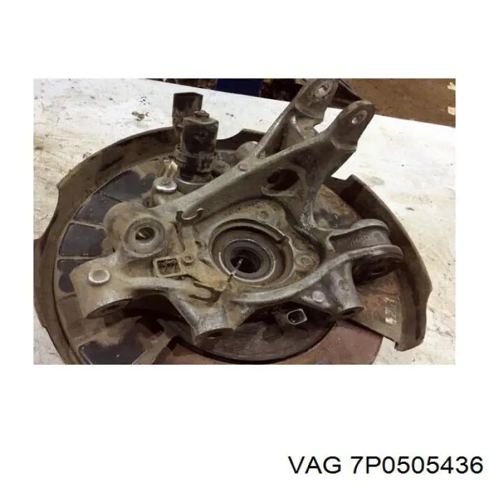 Цапфа - поворотний кулак задній, правий 7P0505436 VAG