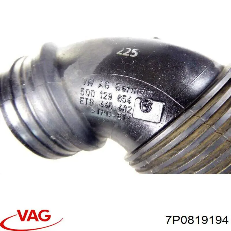  7P0819194 VAG