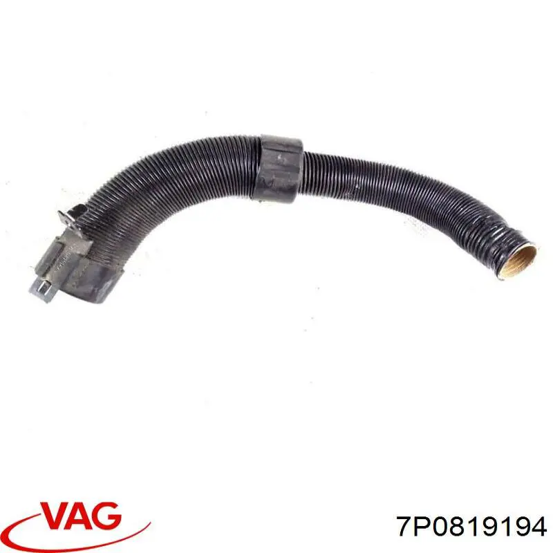 7P0819194 VAG 