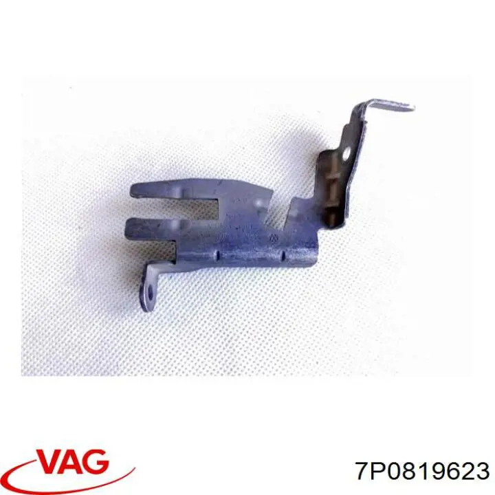  VAG 7P0819623