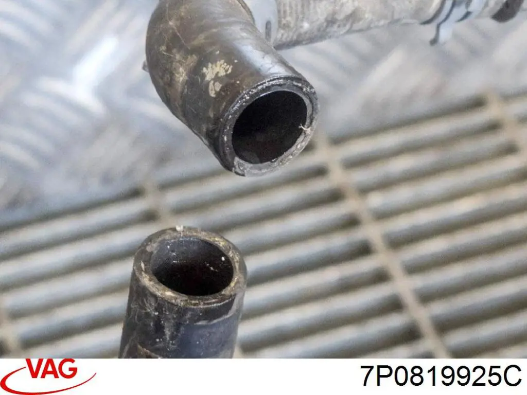 7P0819925C VAG 