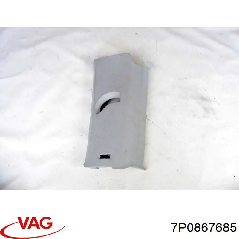  VAG 7P0867685