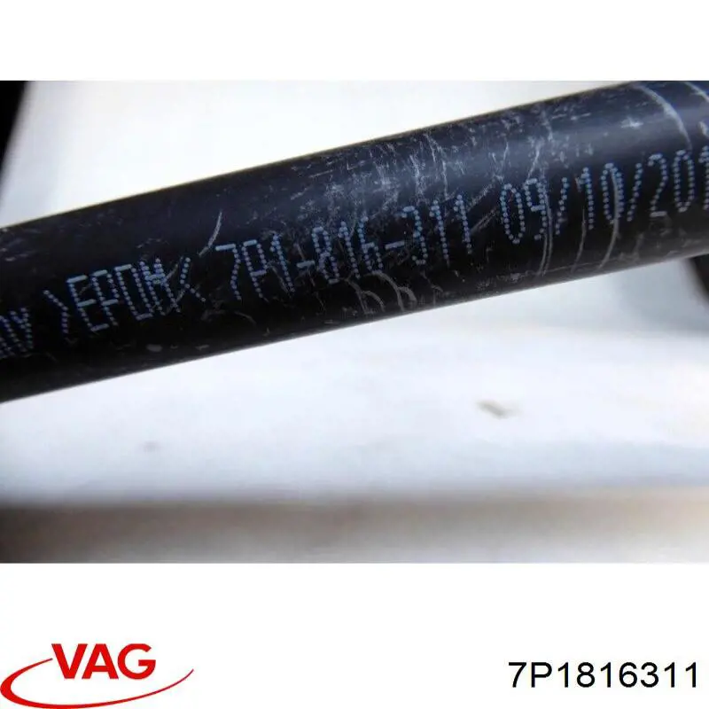 7P1816311 VAG 