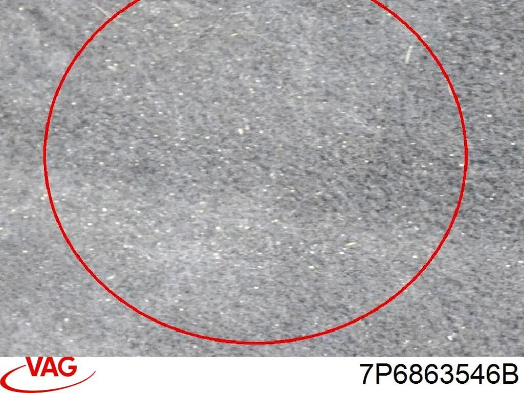  7P6863546B VAG