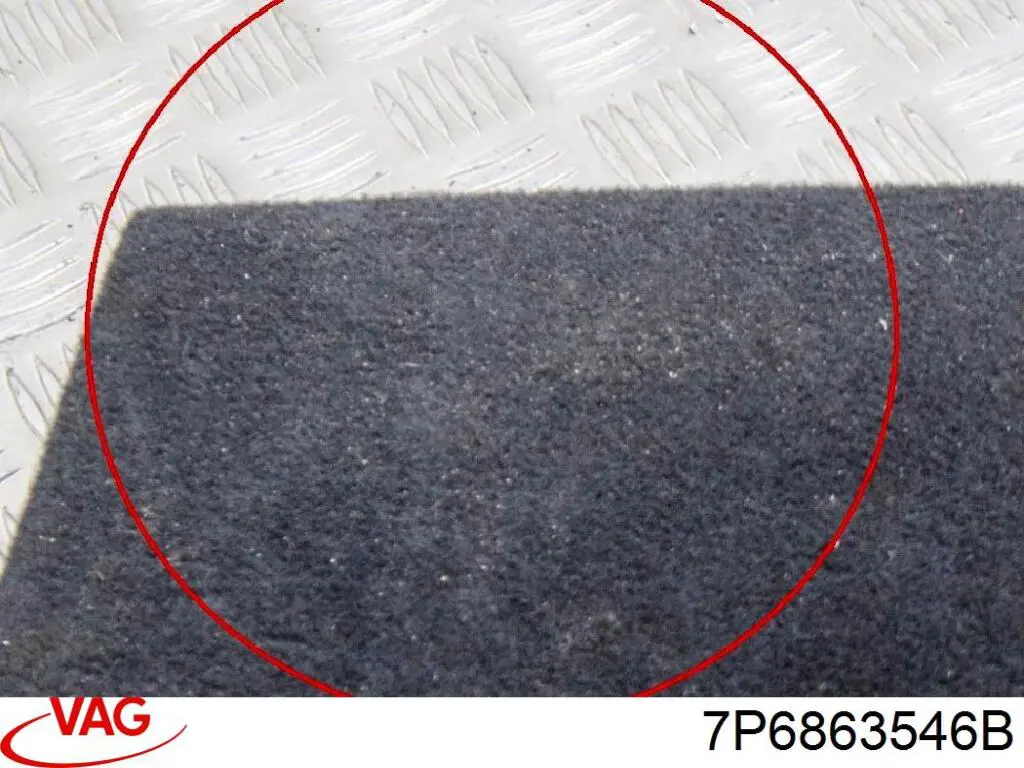  VAG 7P6863546B