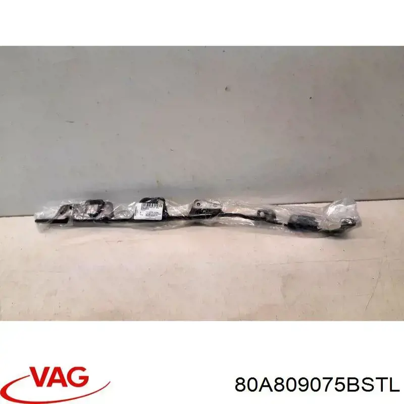  VAG 80A809075BSTL ціна, від 147.39 USD