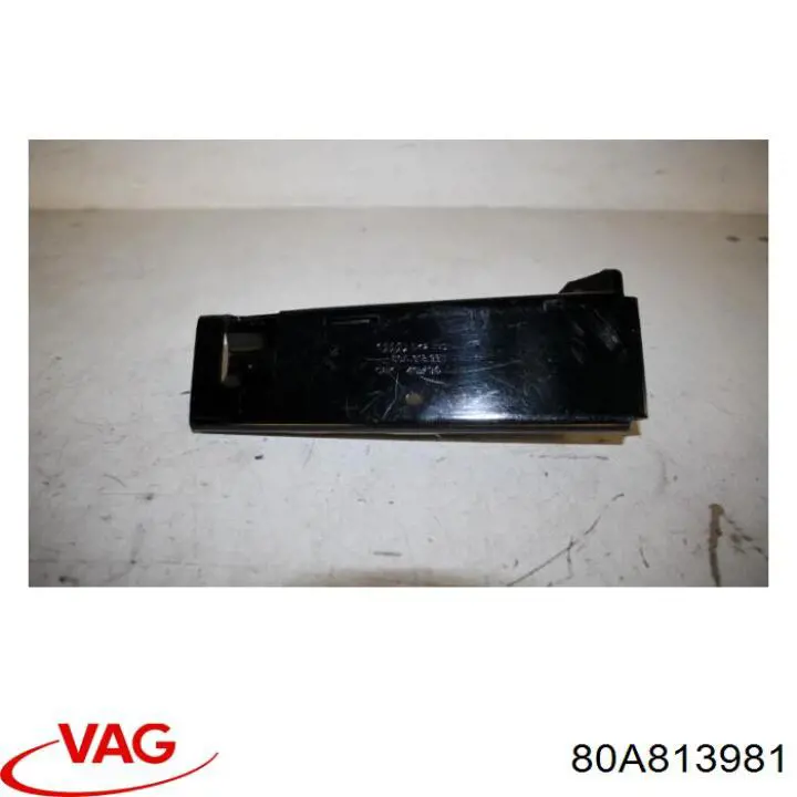 80A813981 VAG 