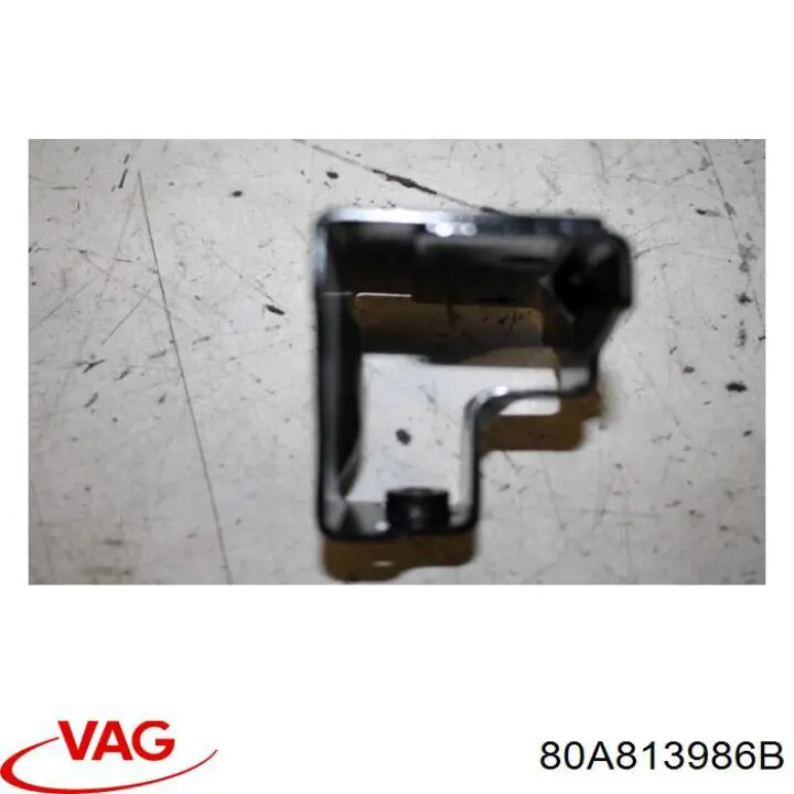 80A813986B VAG 