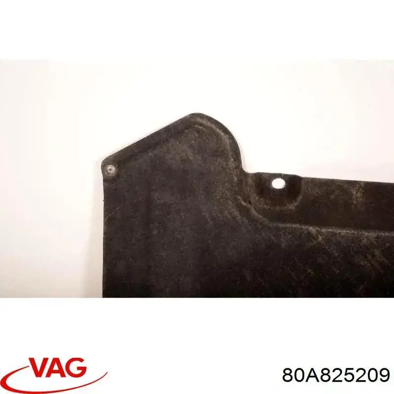  80A825209 VAG