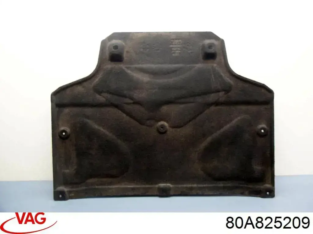 80A825209 VAG 