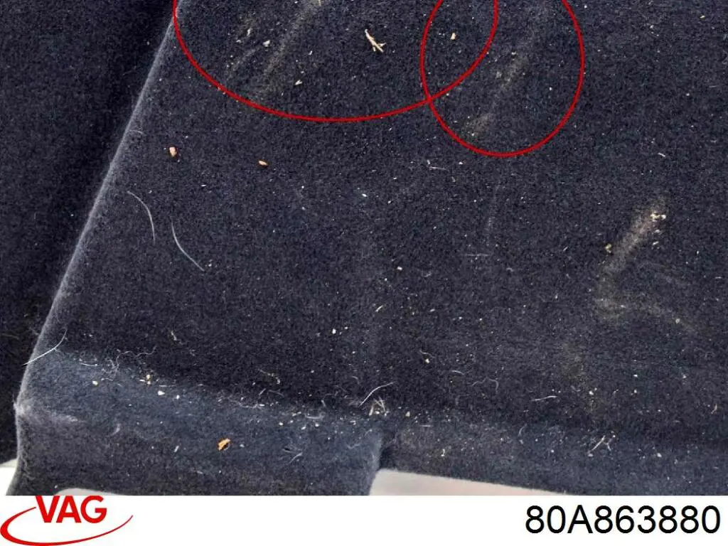  VAG 80A863880