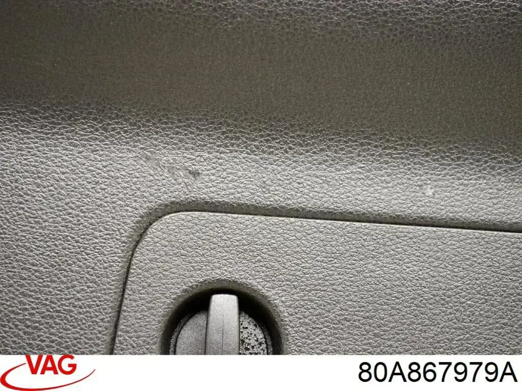  VAG 80A867979A