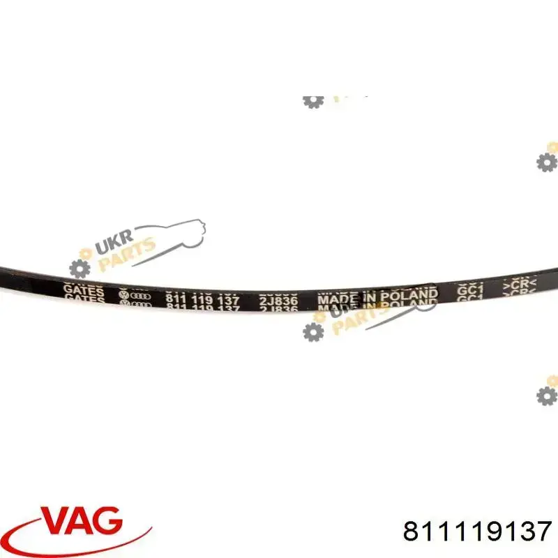 Клиновий ремінь VAG 811119137 ціна, від 2.72 USD
