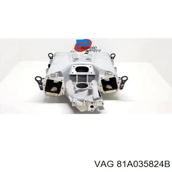  81A035824B VAG