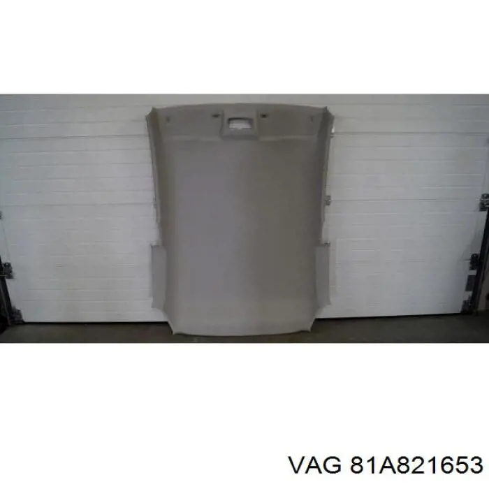  81A821653A VAG