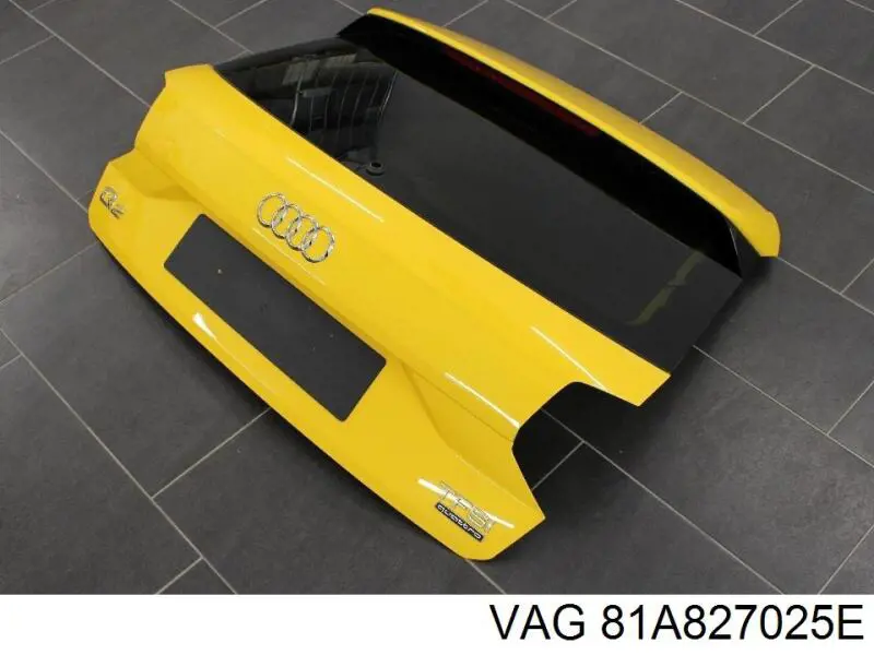 81A827025E VAG Треті двері
