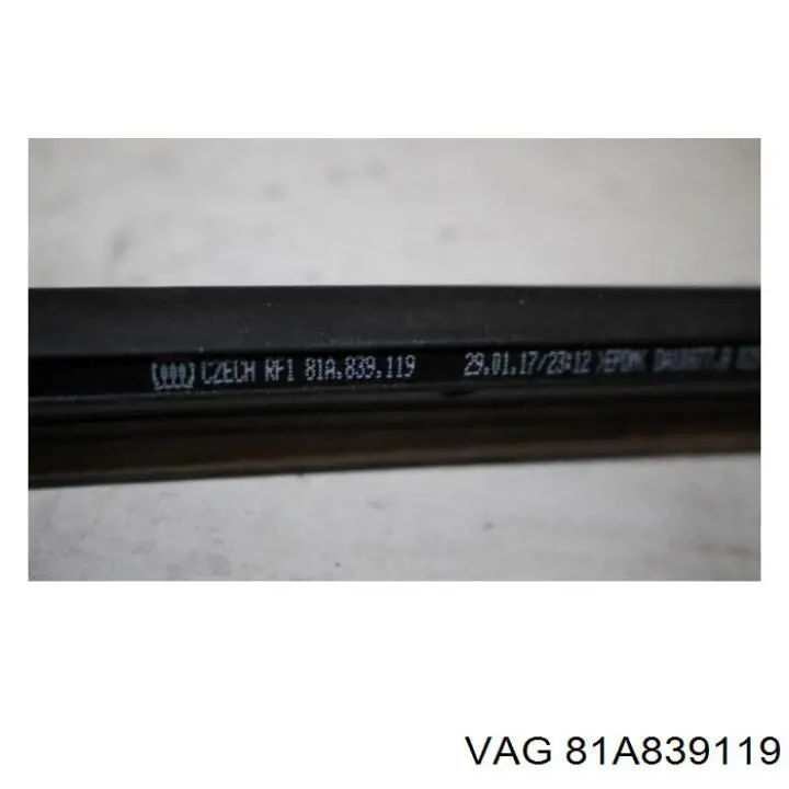 81A839119 VAG 