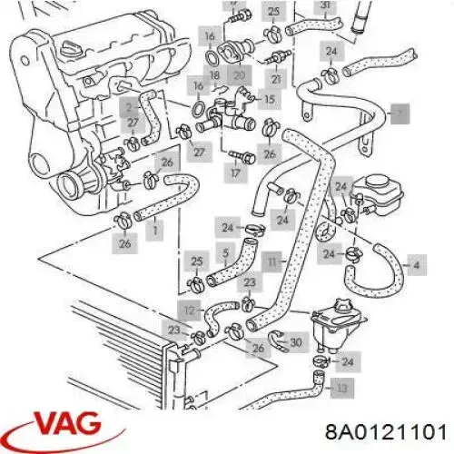 Купити 8A0121101 VAG Шланг/патрубок радіатора охолодження, нижній