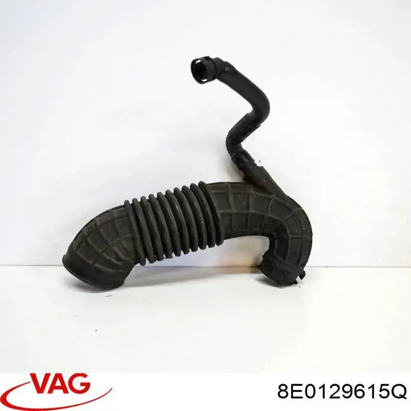 8E0129615Q VAG 