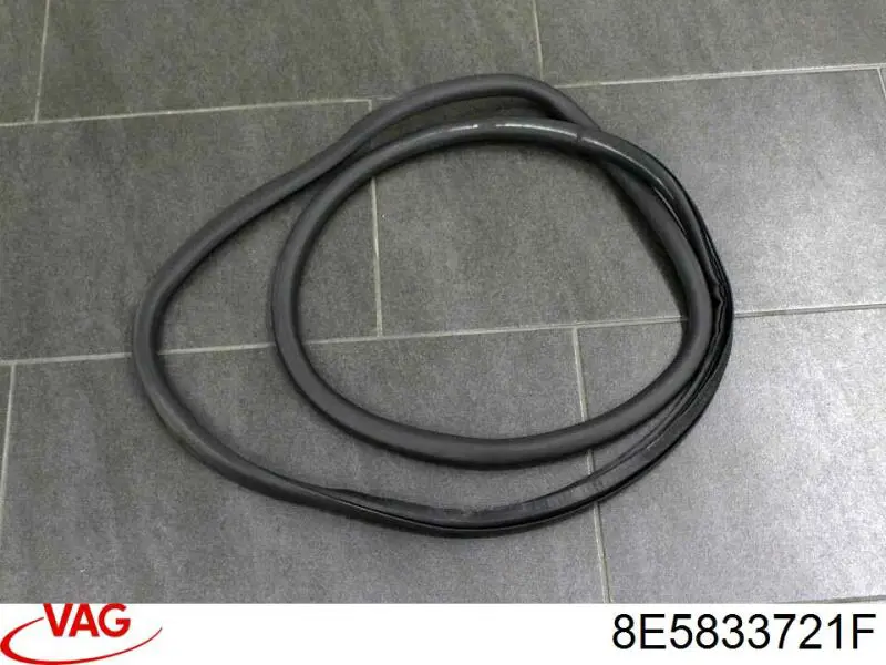 Ущільнювач двері задньої (на кузові) VAG 8E5833721F ціна, від 90.07 USD