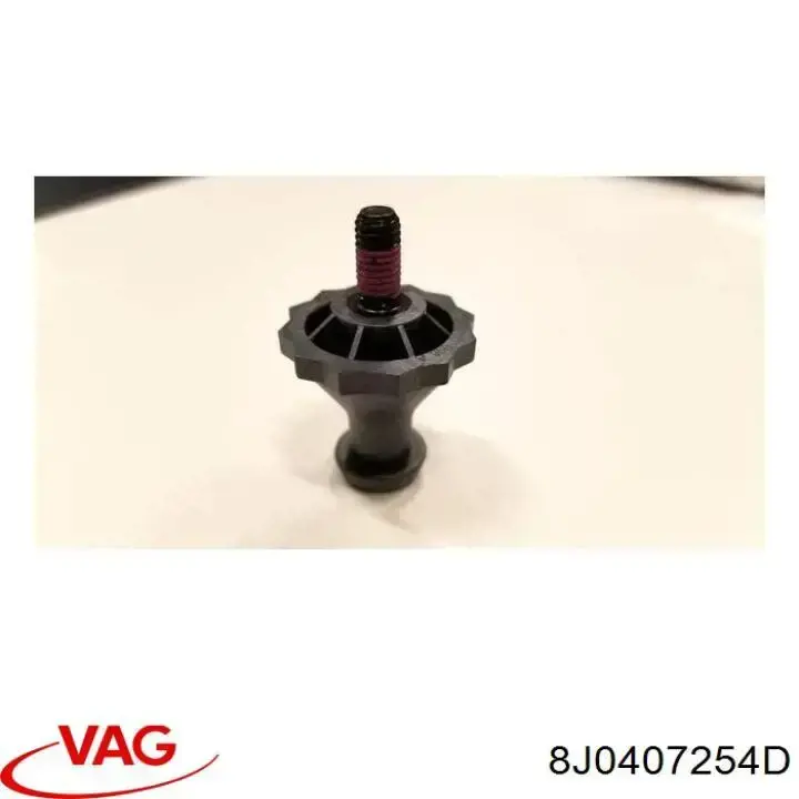 8J0407254D VAG Цапфа - поворотний кулак передній, правий