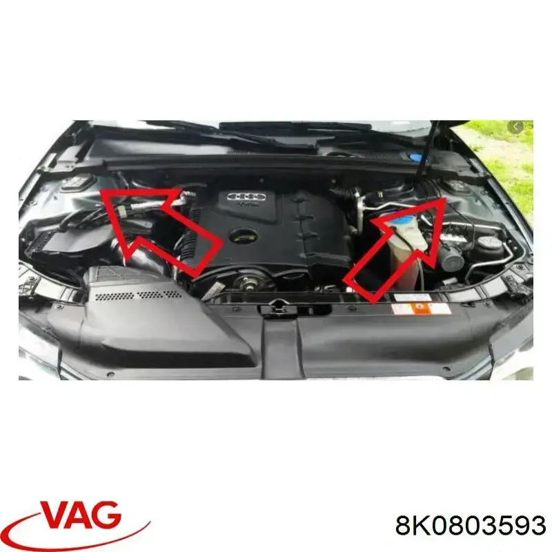 Заглушка днища кузова 8K0803593 VAG