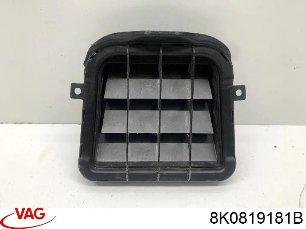  VAG 8K0819181B