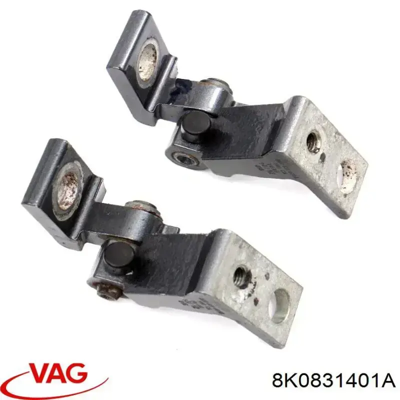 Купити 8K0831401C VAG Завіса дверей задніх лівих