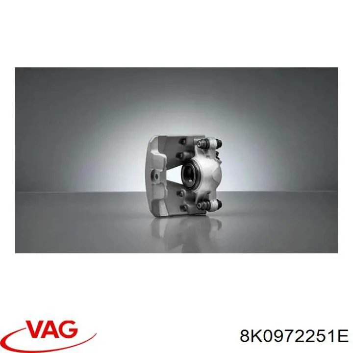 8K0972251E VAG 