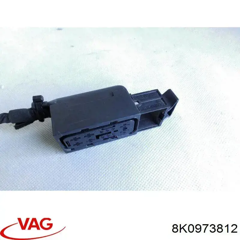  VAG 8K0973812