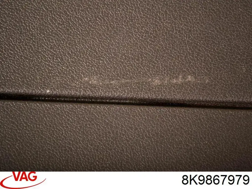  VAG 8K9867979