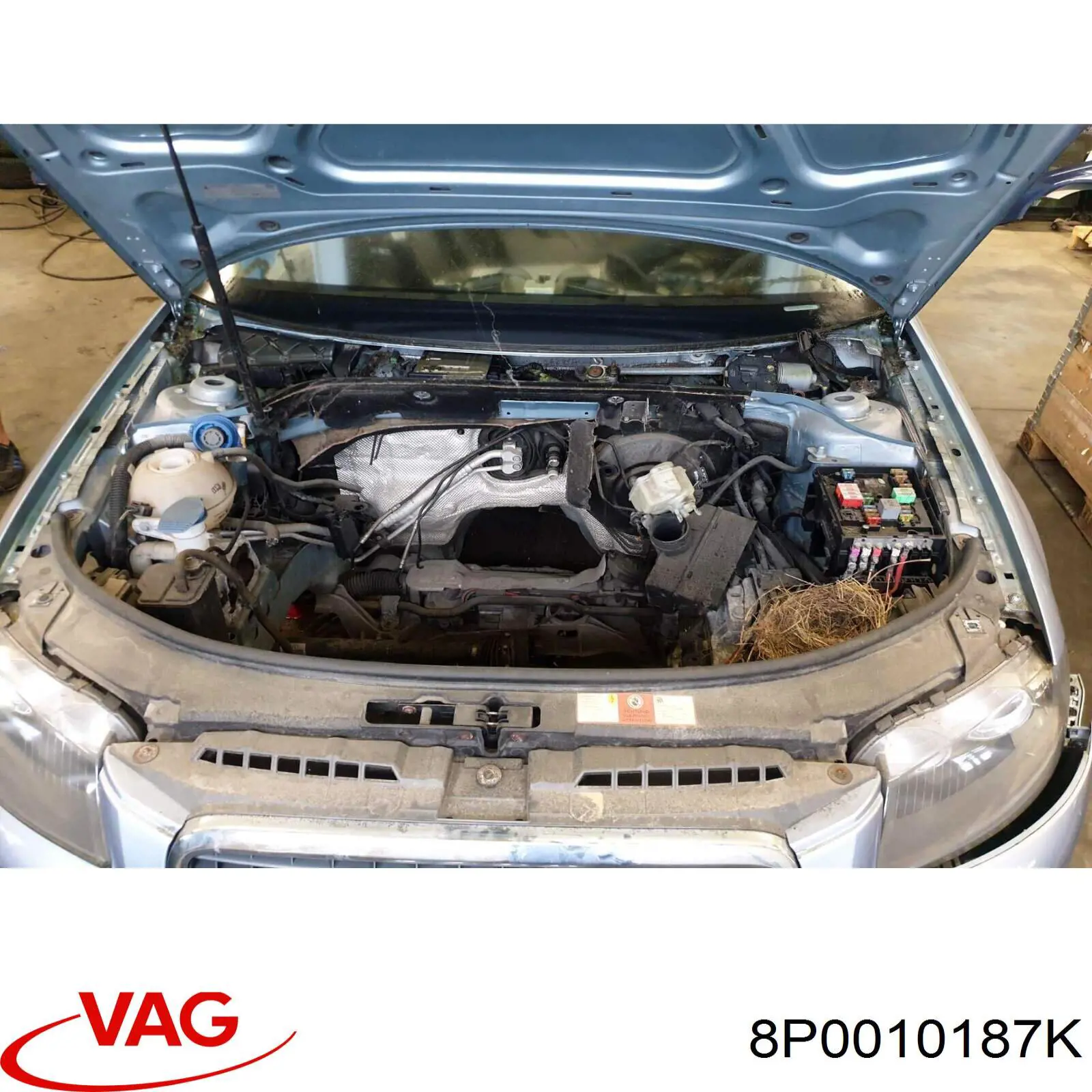 Купити 8P0010187K VAG 